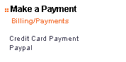 Figure 1.9 - The Make a Payment Tab